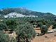 Naxos Island - Filoti